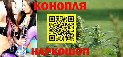 прущие грибы Шахты