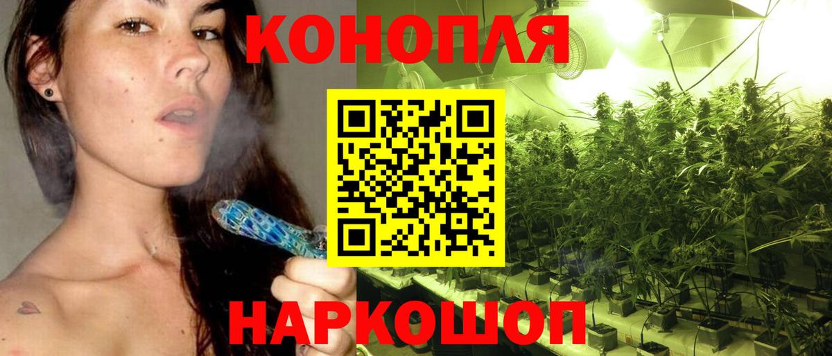 Бошки марихуана VHQ Баксан